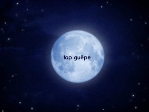 Image Top guêpe