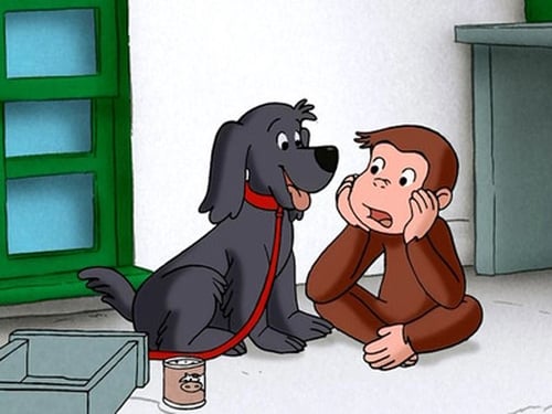 Poster della serie Curious George