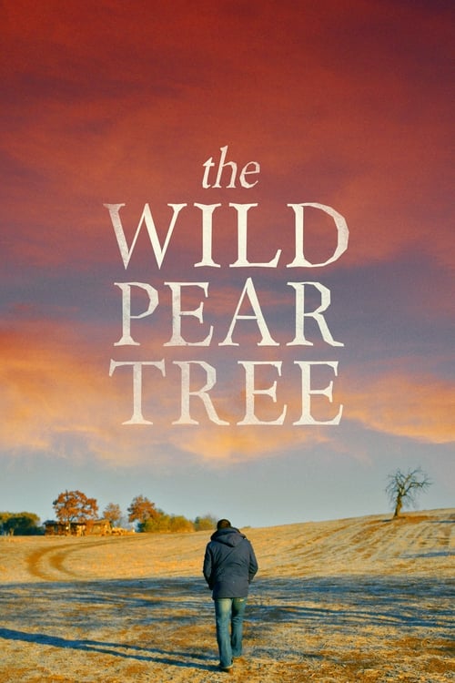 Grootschalige poster van The Wild Pear Tree