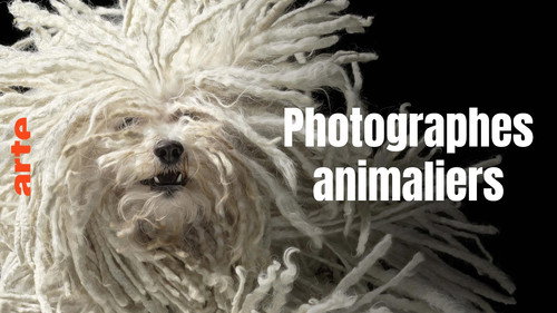 Image Tim Flach