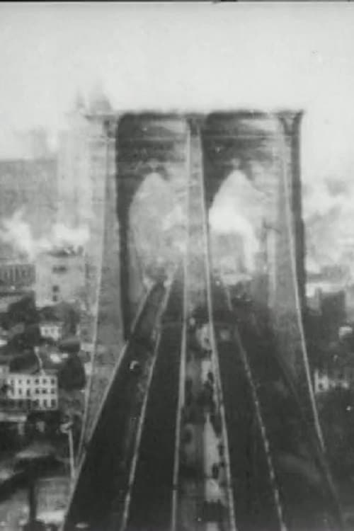 Panorama from the Tower of the Brooklyn Bridge 1899