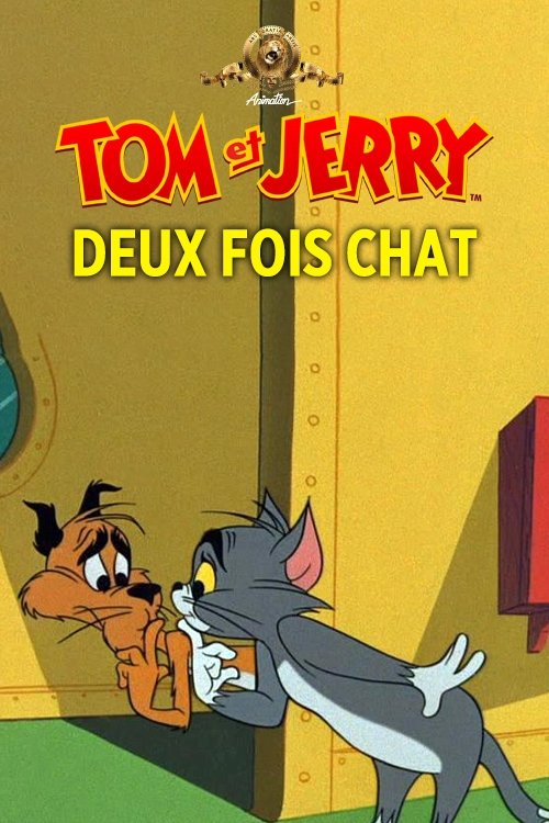 Deux fois chat