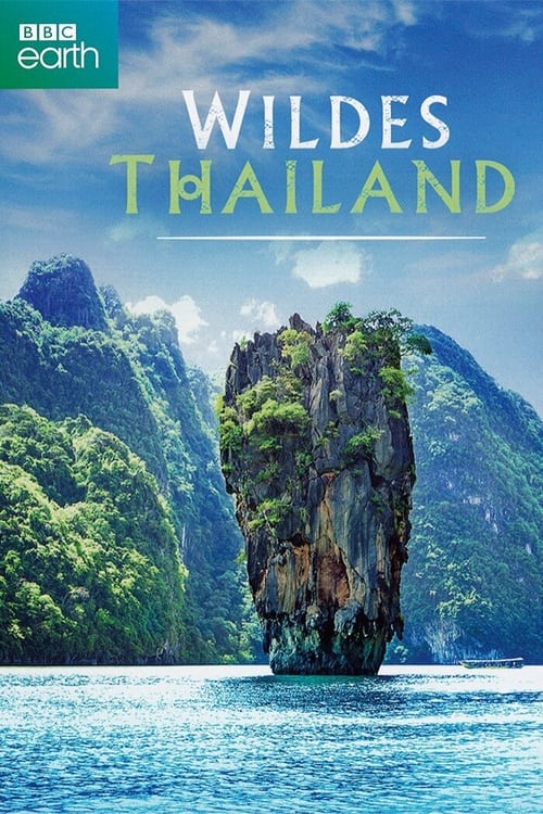 Wildes Thailand poster