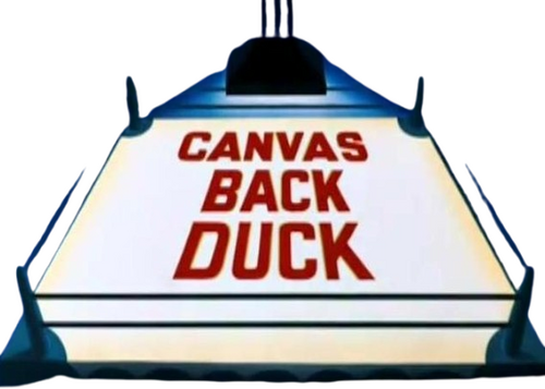 Canvas Back Duck