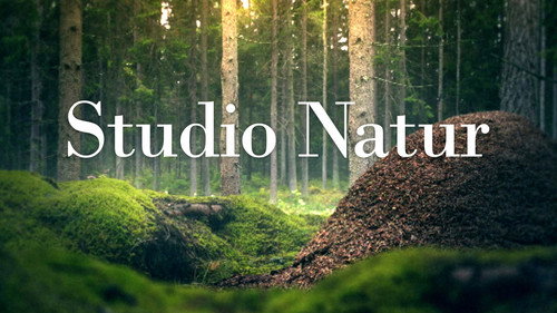 Studio Natur — Fondos 2