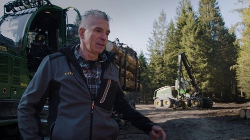 Poster della serie Undercut: l'oro di legno