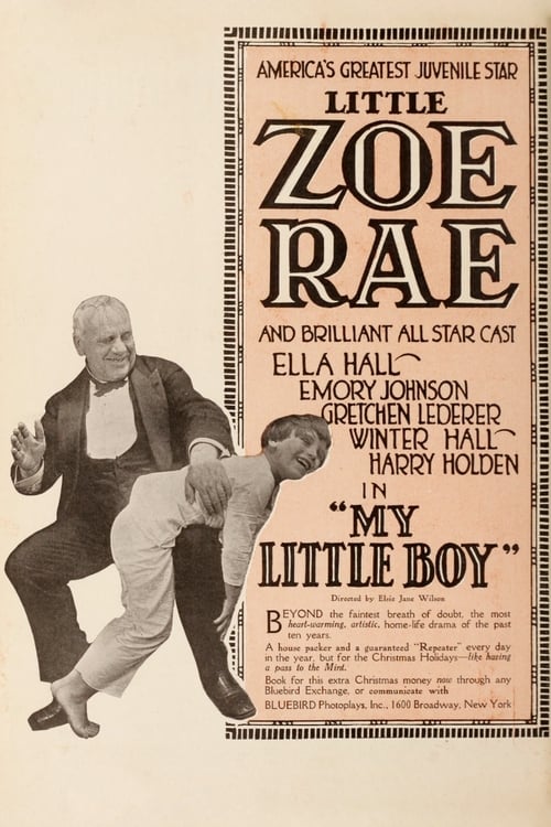 My Little Boy (1917)