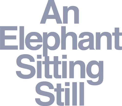 An Elephant Sitting Still