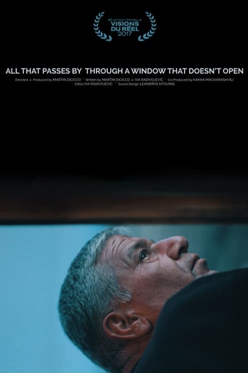 All That Passes by Through a Window That Doesn't Open Movie Poster Image