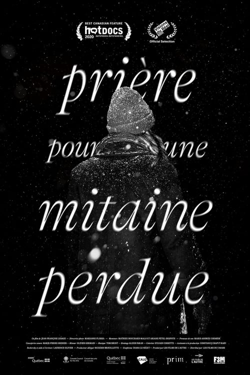 Prière pour une mitaine perdue (2020) poster