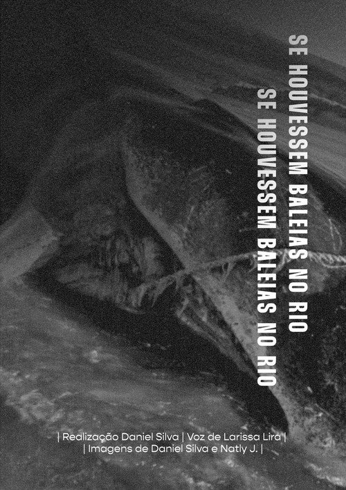 Se Houvessem Baleias no Rio