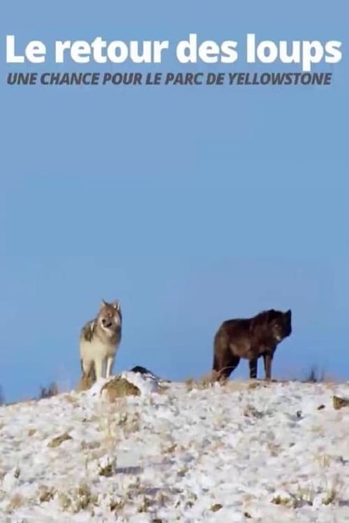 The Return of the Wolves: The Miracle in Yellowstone National Park (2017)