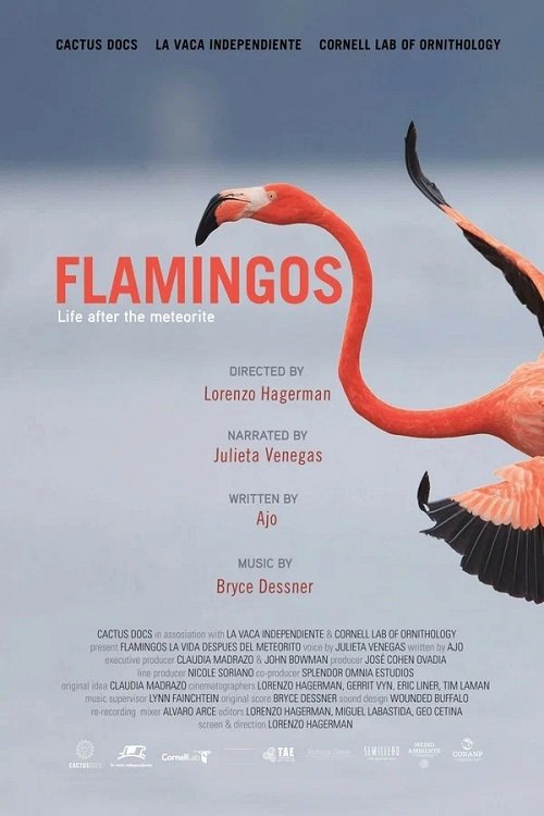 Flamingos: Life After the Meteorite