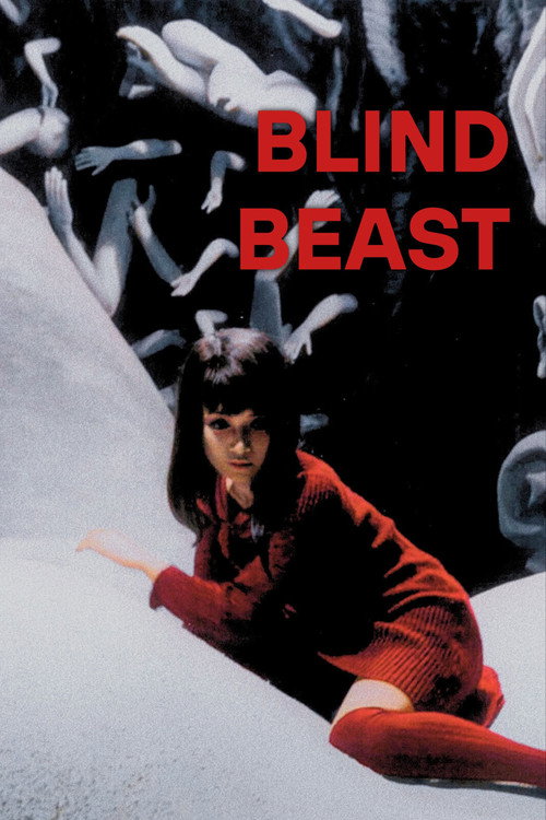 Blind Beast poster