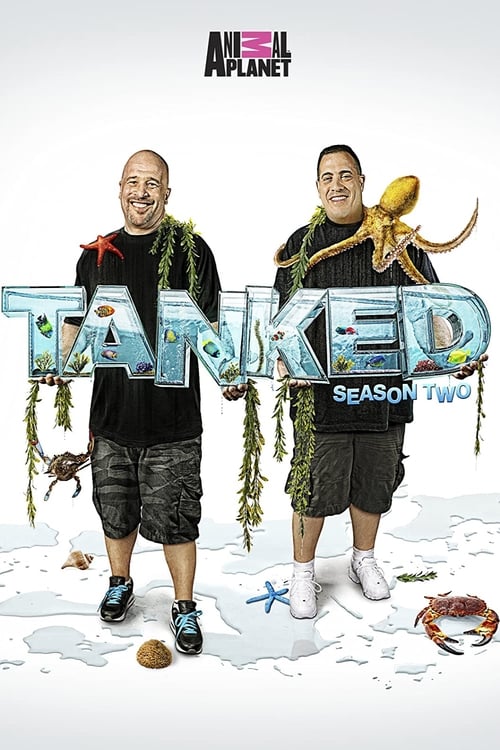 Season 2