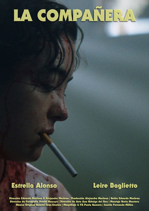 The Classmate poster