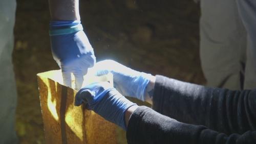 Image de l'épisode 5
