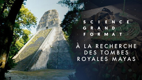 Image À la recherche des tombes royales mayas