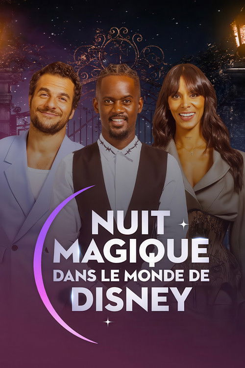 Magical Night in Disney World poster