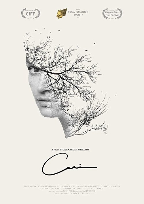 Cari movie poster player