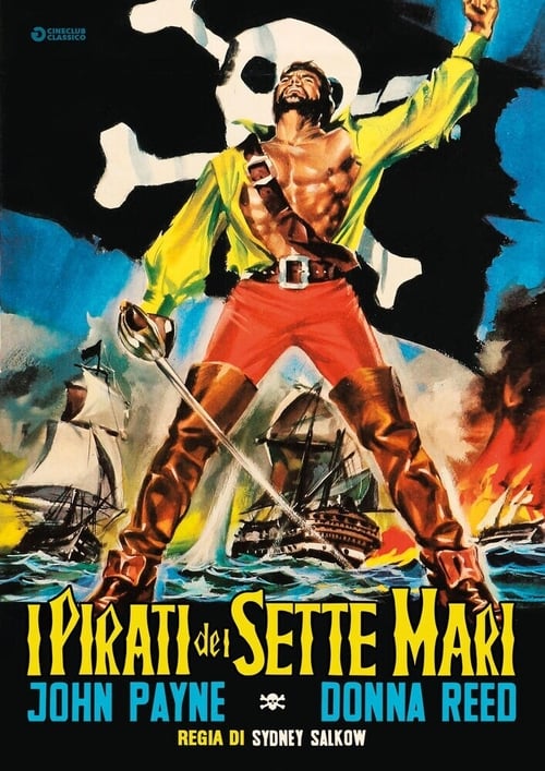 Raiders of the Seven Seas poster