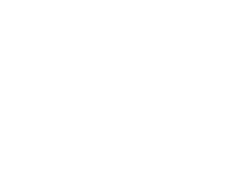 Team Marco