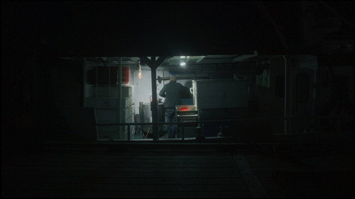 Caught in the net — Backdrops 6