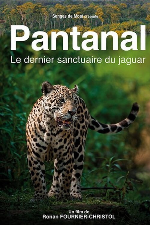 Pantanal, le dernier sanctuaire du jaguar Movie Poster Image