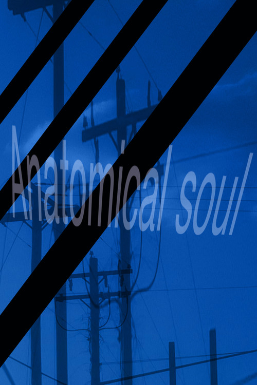 Anatomical soul