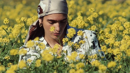 Iran-e Man still