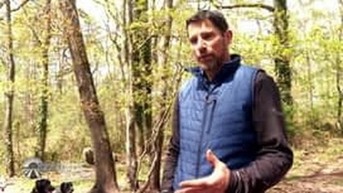 Image de l'épisode 42