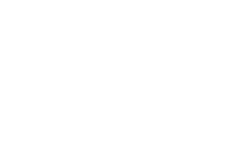 Mickey and the Seal