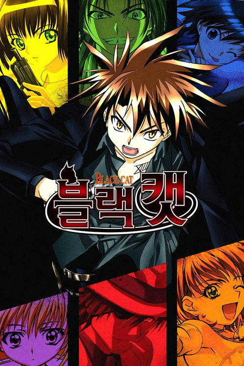 블랙캣 poster