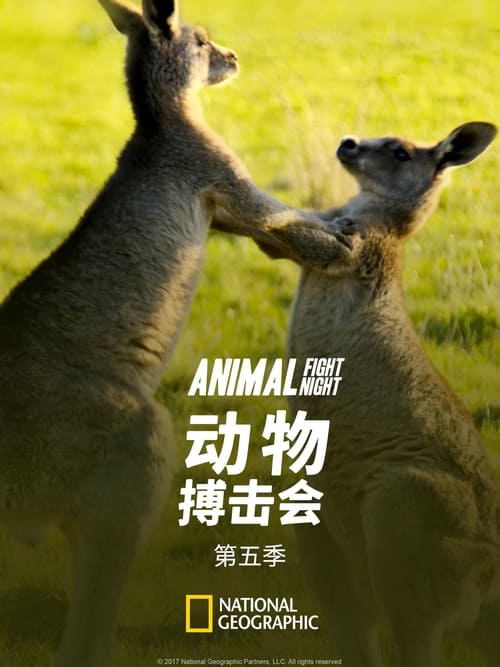 Where to stream Animal Fight Night Season 5