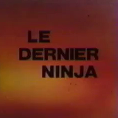 The Last Ninja