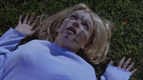 Shriek If You Know What I Did Last Friday the Thirteenth