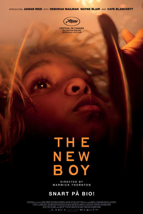 The New Boy poster
