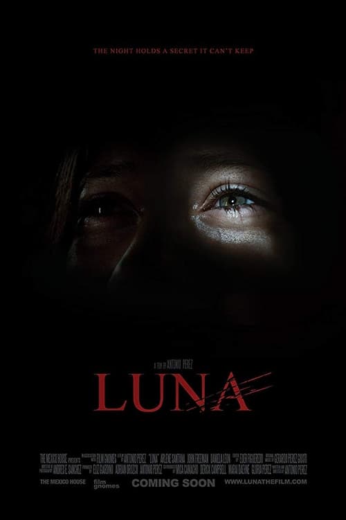 Luna 2013
