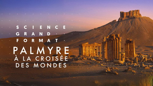 Image Palmyre, à la croisée des mondes