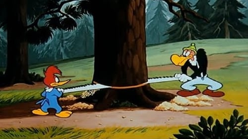 Poster della serie The Woody Woodpecker Show