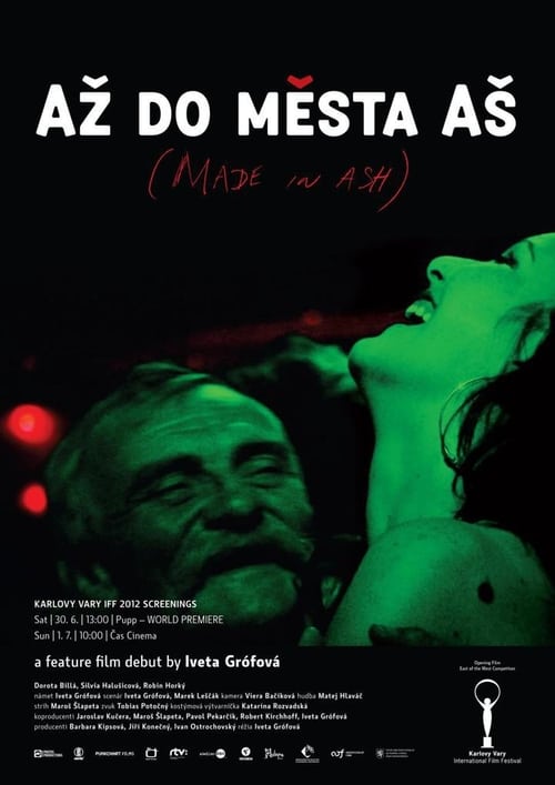 Až do mesta Aš (2012) poster