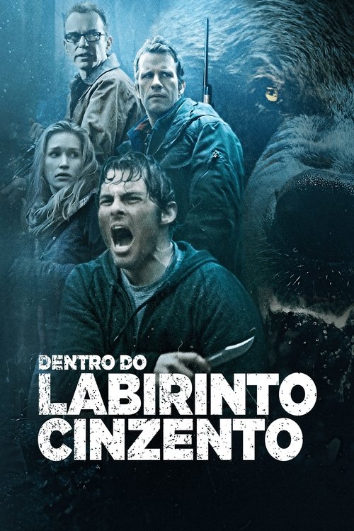 Pôster de Dentro do Labirinto Cinzento