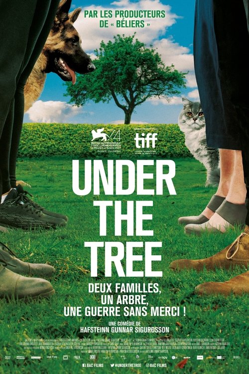 Under the Tree 2017