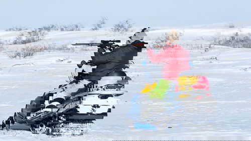 Poster della serie Life Below Zero