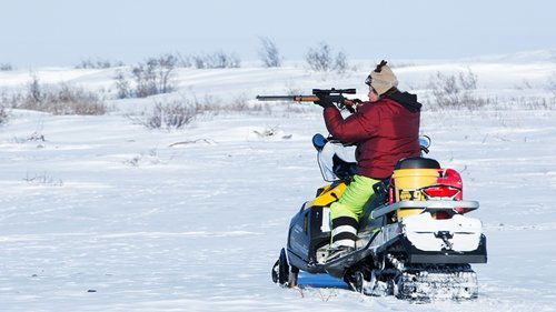 Poster della serie Life Below Zero