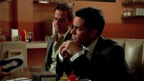 Poster della serie CSI: NY