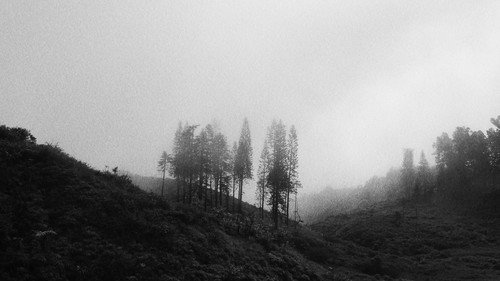 Intermediate Steps Between Falsehoods