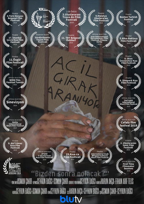 Acil Çırak Aranıyor