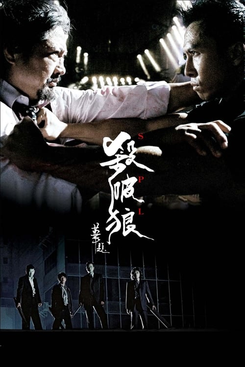殺破狼 (2005) poster