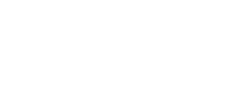 Der Fall Collini
